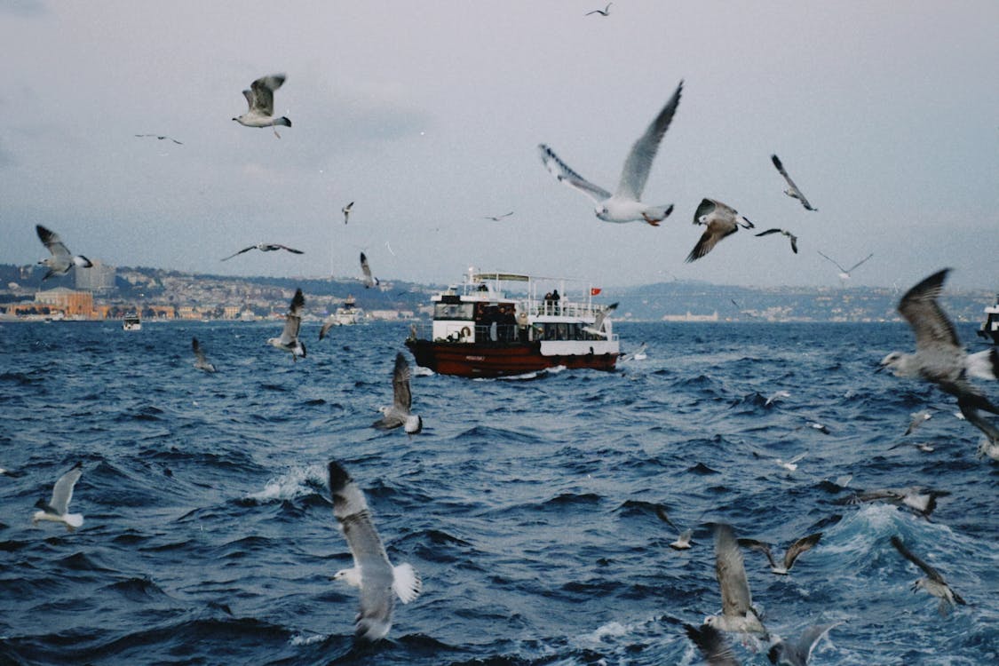 History repeats itself.. From Mavi Marmara to the humanitarian ship Conscience